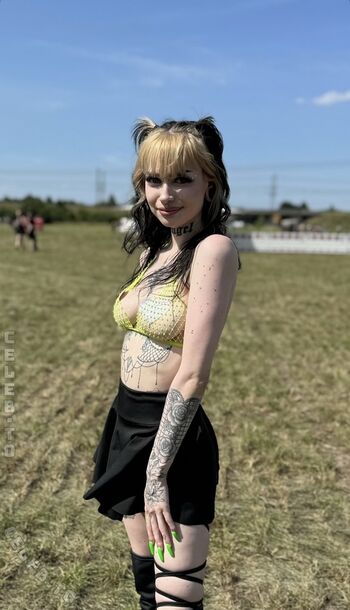 schweinenuttenfotzenscheisse