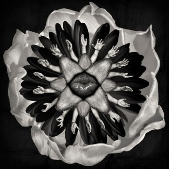 Full leaked Sexyflower private onlyfans photo