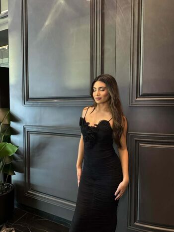 Shabreen Meerasafeer