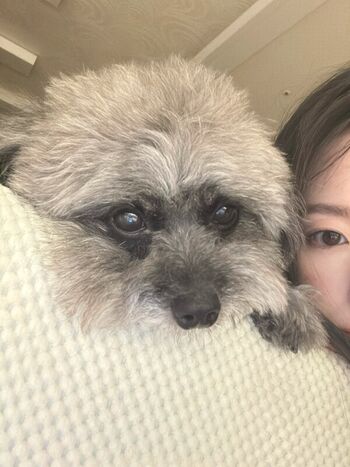 Full leaked Shuhua private onlyfans photo