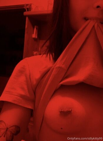 sillykitty99