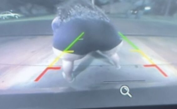 Full leaked Sinstragedy private onlyfans photo