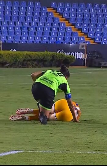 Tatiana Flores