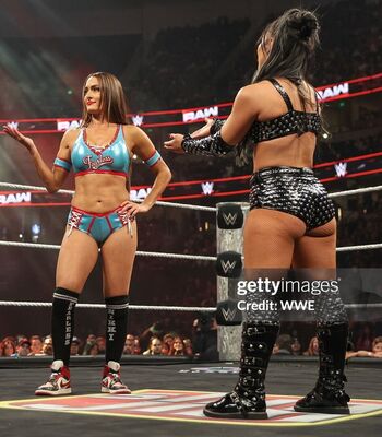 The Bella Twins