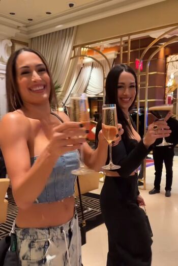 The Bella Twins