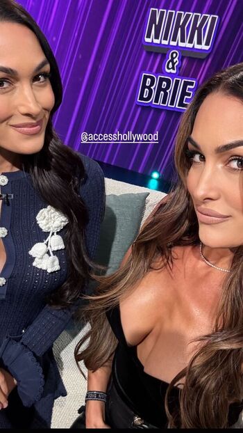 The Bella Twins