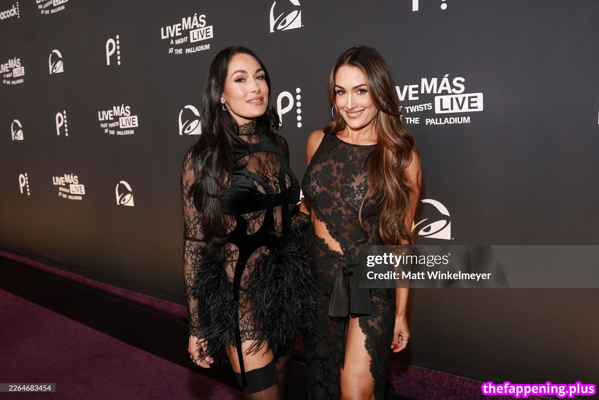 The Bella Twins