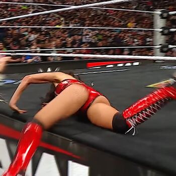 The Bella Twins