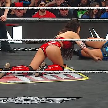 Full leaked The bella twins page private onlyfans photo