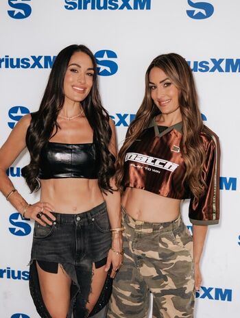 The Bella Twins