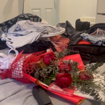 The Holistic Trainer