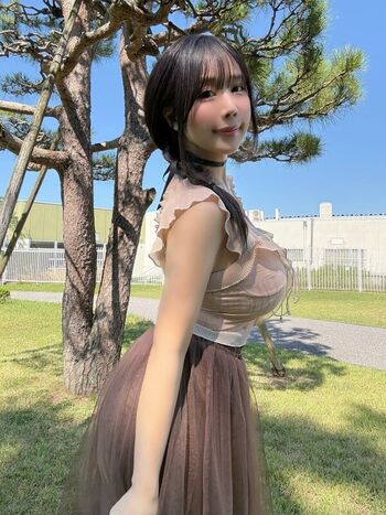 Towa Rabbit
