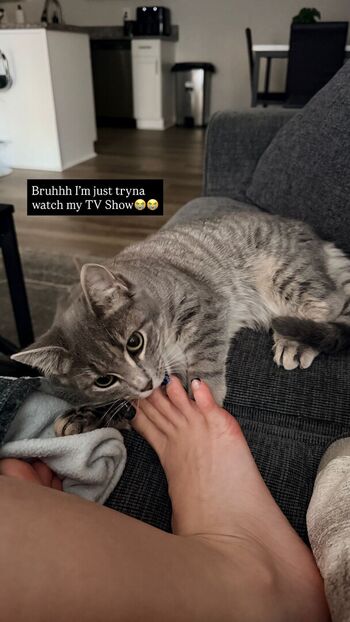 Tray.fitfever | Tray Soe