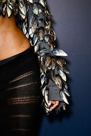 Full leaked Officialzoerenea/ private onlyfans photo