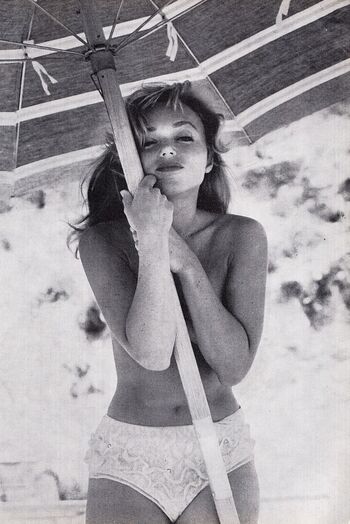 Vintage English Pinups