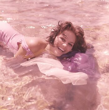 Vintage Sexy Celebs