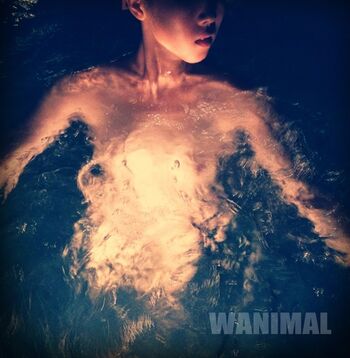 Full leaked Wanimal models private onlyfans photo