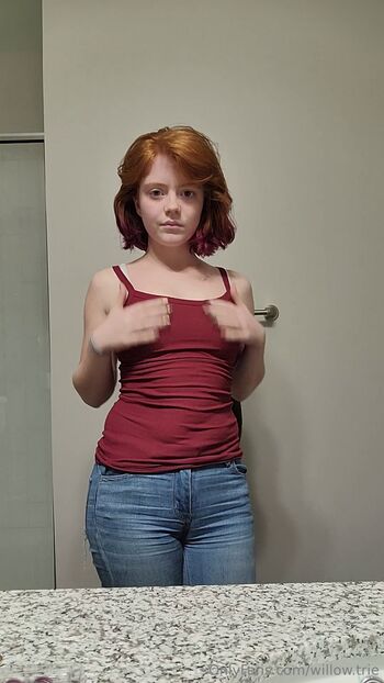 Willow.trie