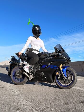 xinaxxiv