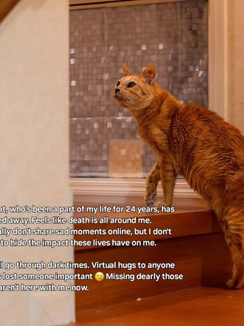 Full leaked Quqqurr/ private onlyfans photo